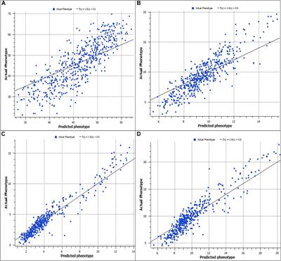 Genomic Prediction for Whole Weight, Body Shape, Meat Yield, and Color Traits in the Portuguese Oyster Crassostrea angulata